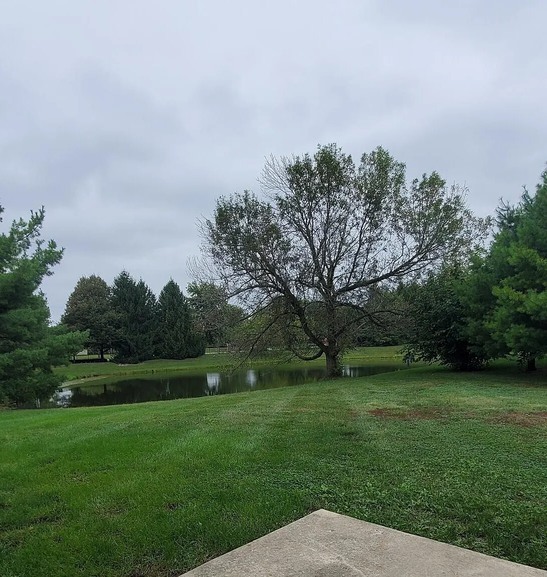 4 bed, 2.5 bath, 3379 sqft, $2,400 — Photo 3