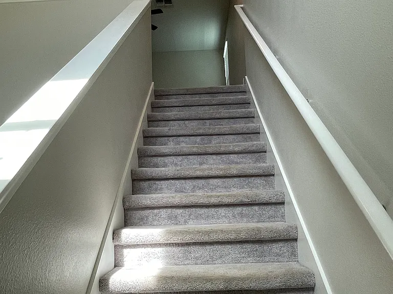 5221 White Chicory Dr — Photo 10