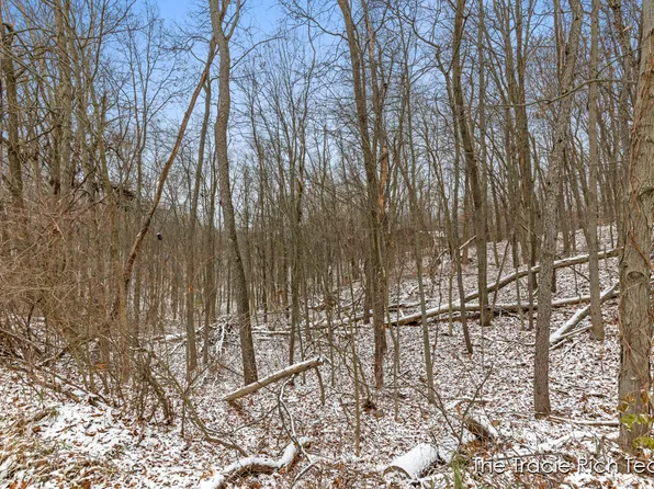 9021 Satterlee Rd, Greenville, MI 48838