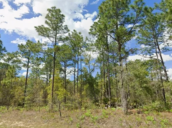 2193 W GALAXY LANE LOT 11, CITRUS SPRINGS, FL 34434