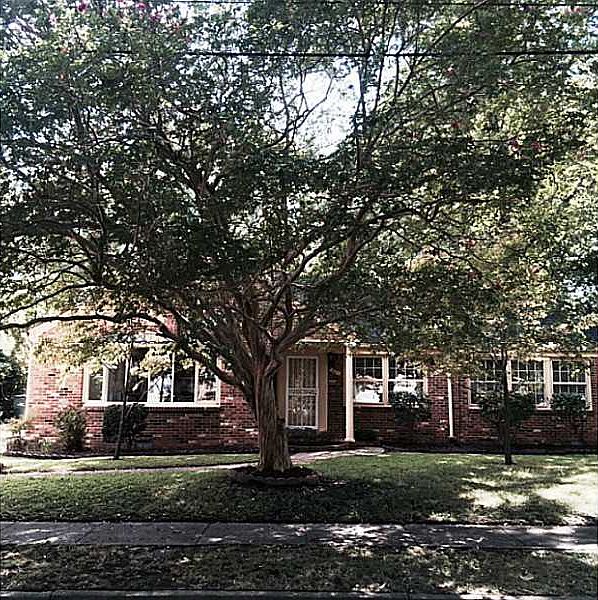 1st image of 961 Newell Ave