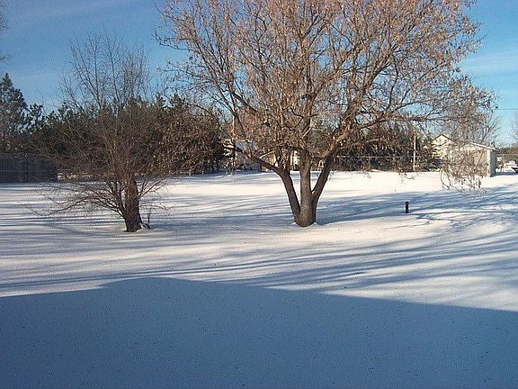 view of the one acre back yard