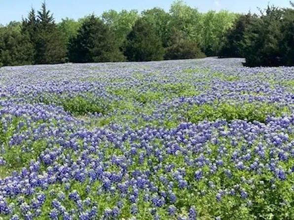 821 Ewing Rd, Ferris, TX 75125