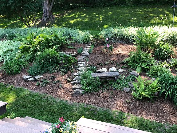 Perennial bed in back yard