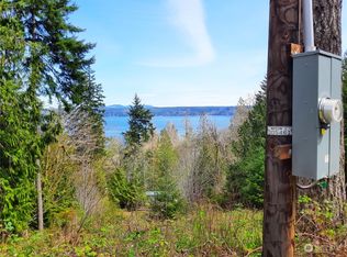 41 Cedar Ct, Brinnon, WA 98320