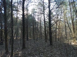 1217 Hardy Rd, Horseshoe Bend, AR 72512