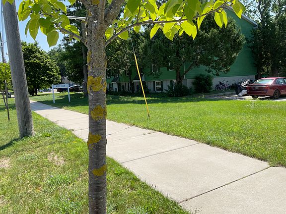 3rd image of 814 Centre St