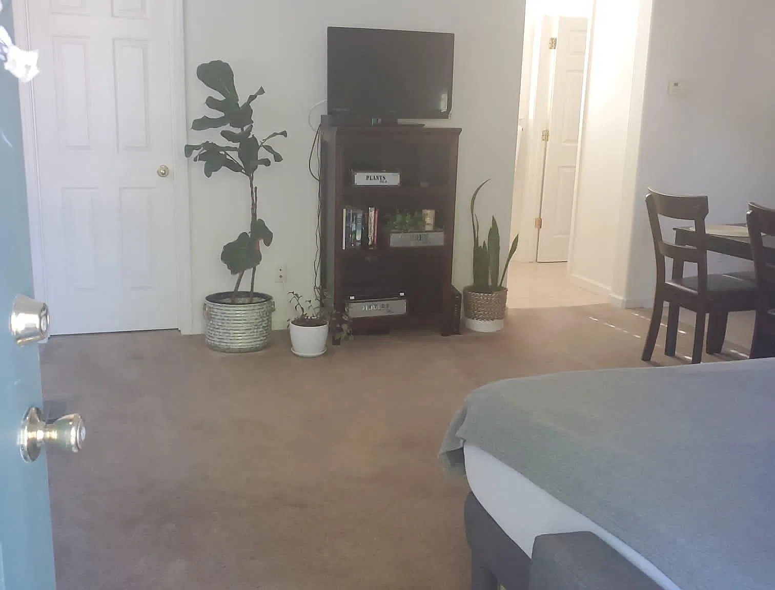 82 Lexington St — Photo 4