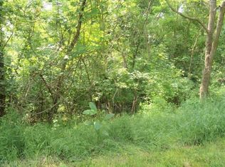 Lots 64 And 65 Horseshoe Farm Rd, Pembroke, VA 24136