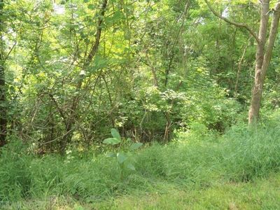Lots 64 And 65 Horseshoe Farm Rd, Pembroke, VA, 24136