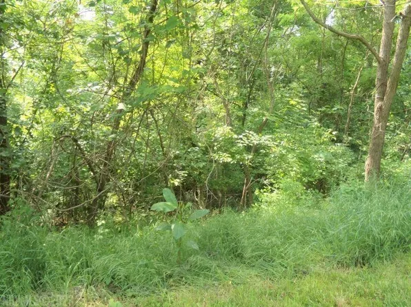 Lots 64 And 65 Horseshoe Farm Rd, Pembroke, VA 24136