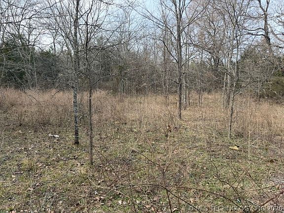 2nd image of Bengal Rd