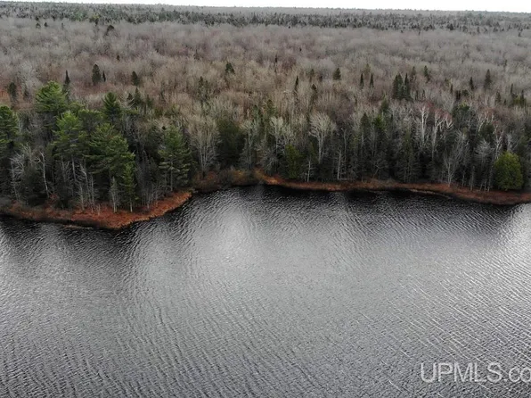 Tbd19 Keweenaw Pass, Lake Linden, MI 49945