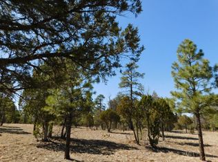 2150 Aztec Cir, Happy Jack, AZ 86024