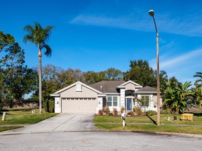 438 Equine Dr, Tarpon Springs, FL, 34688