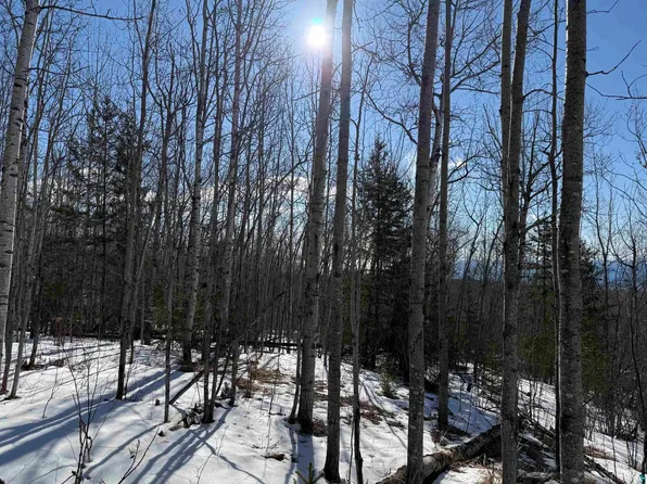 X10 Murphy Dr Lot 10, Grand Marais, MN 55604