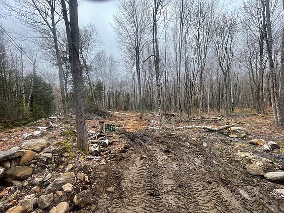 5th image of TBD Dunn Road