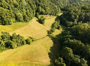 1 Mud Fork Rd, Chloe, WV 25235