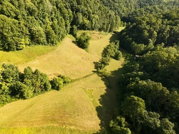 1 Mud Fork Rd, Chloe, WV 25235