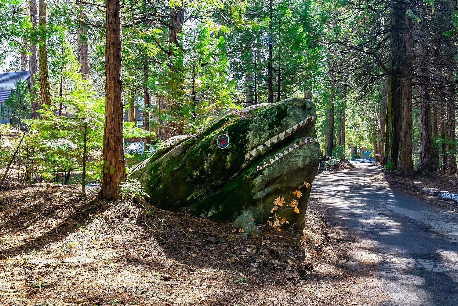 41405 Musick Dr, Shaver Lake, CA 93664 MLS 597700 Zillow