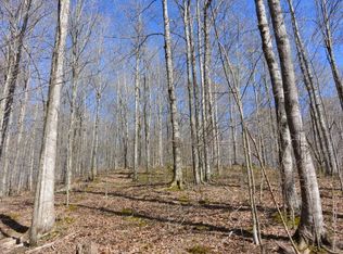 4 Trinity Ln, Allons, TN 38541