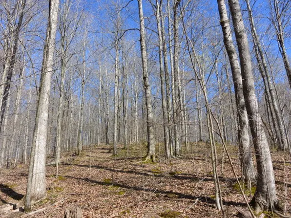 4 Trinity Ln, Allons, TN 38541