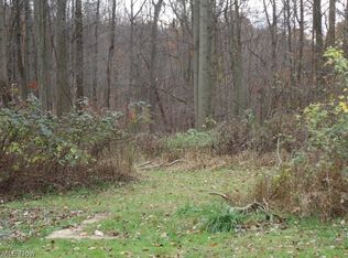 Palmer Rd, Kimbolton, OH 43749