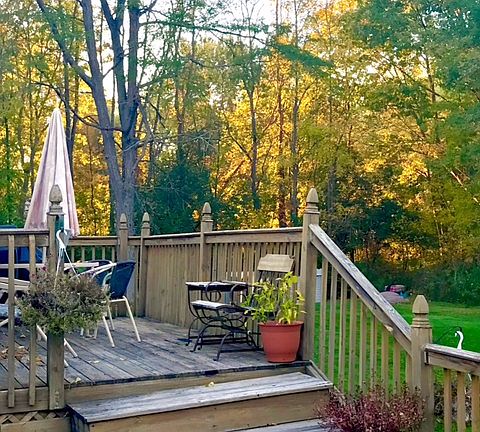 Bottom Deck & Back Yard
