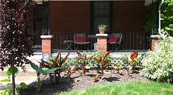 3rd image of 332 Colorado Ave