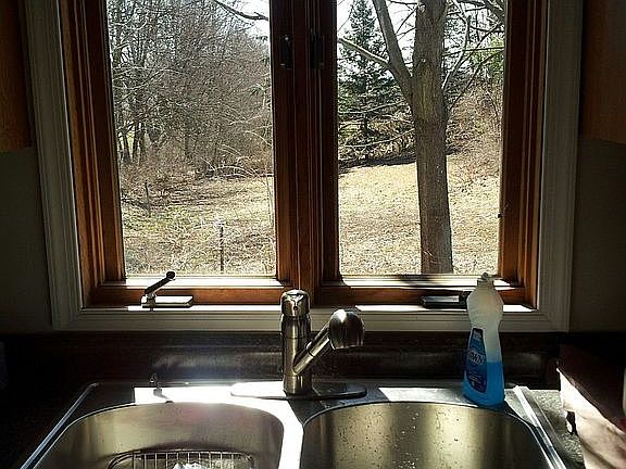 View from Kitchen window