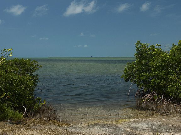 5th image of LOT 42 & 43 Jolly Roger Dr