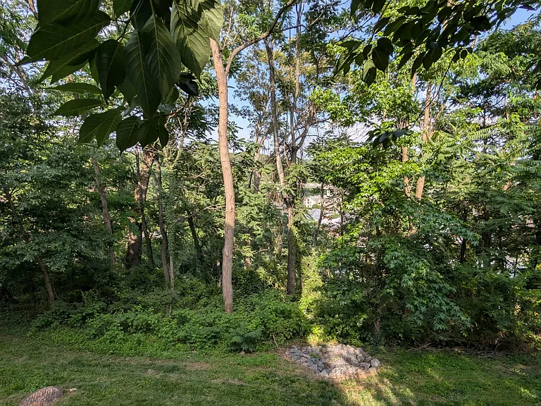 332 Overlook Dr — Photo 22