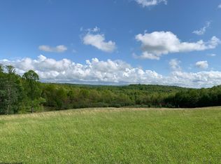 111 Briar Ridge Ln, Ellamore, WV 26267