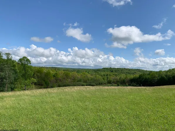 111 Briar Ridge Ln, Ellamore, WV 26267