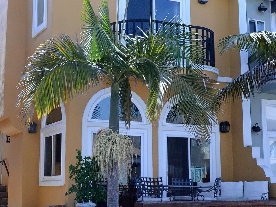 2nd image of 68 Nieto Ave