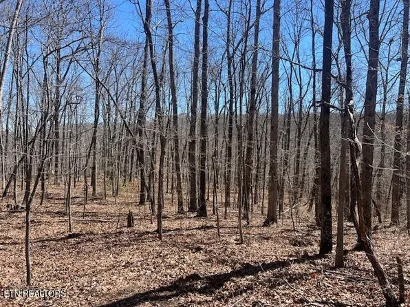 40 Pioneer Trail Ln Lot 40, Crawford, TN 38554