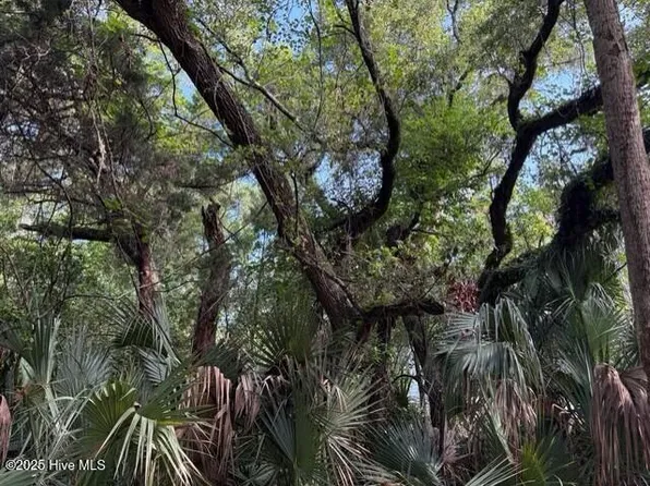 207 Muscadine Wynd Lot 559, Bald Head Island, NC 28461