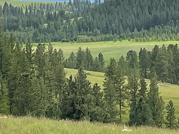 Starvation Rd, Enterprise, OR 97828