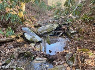 57.09 Acs Rafter Rd, Tellico Plains, TN 37385