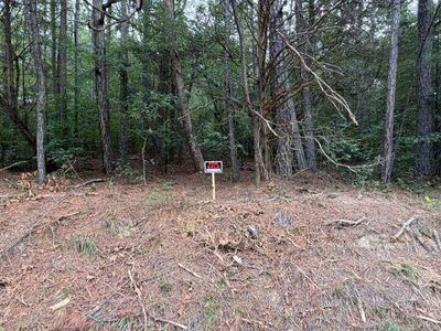 0 Iron Hill Rd Tract 2, Taylorsville, GA, 30178