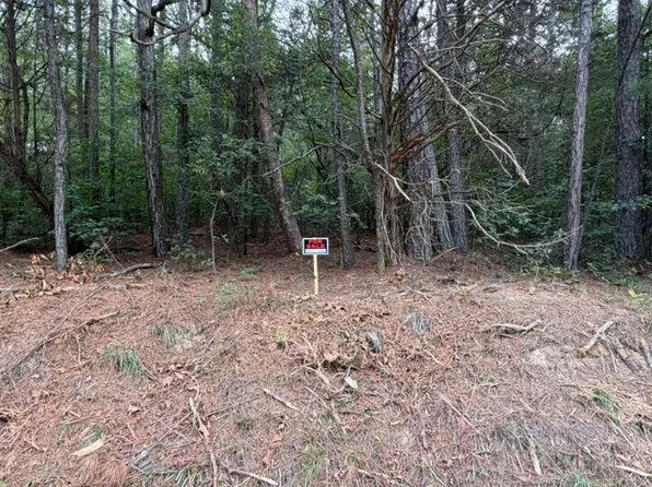 0 Iron Hill Rd Tract 2, Taylorsville, GA 30178