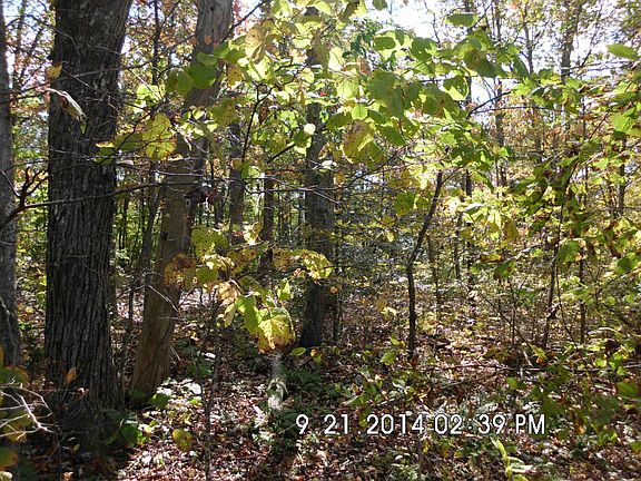 3rd image of Lake Brook Ln