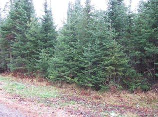 Off Popko Cir E, Mercer, WI 54547