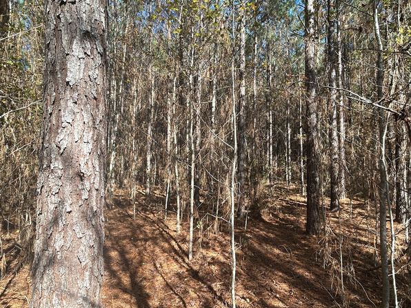 9 Phillips Rd LOT 2, Cottonwood, AL 36320