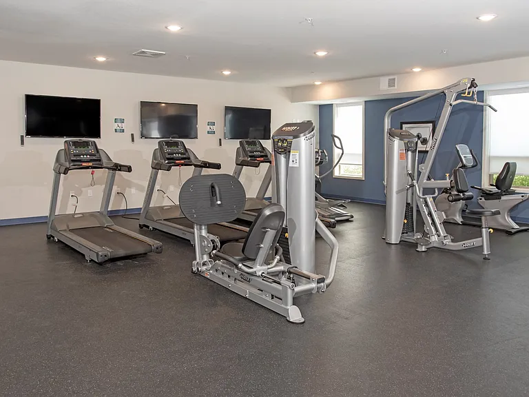 Cardio Machines In Gym