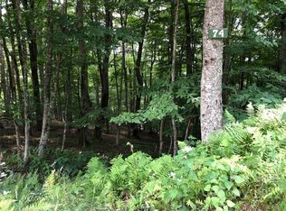 May Apple Ln #74, Mars Hill, NC 28754