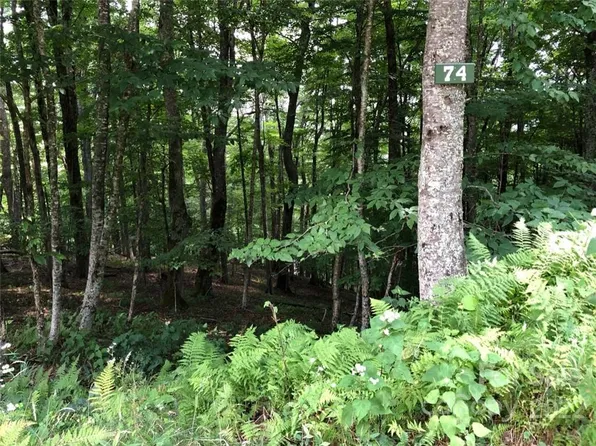 May Apple Ln #74, Mars Hill, NC 28754