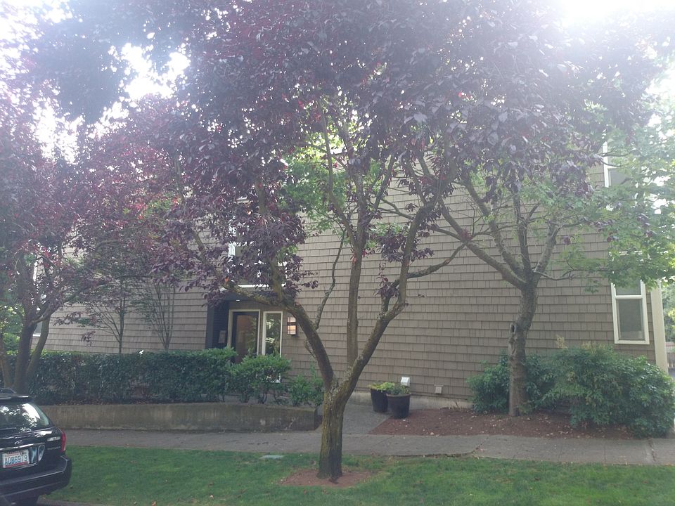 1st image of 3901 1st Ave NW Unit 203