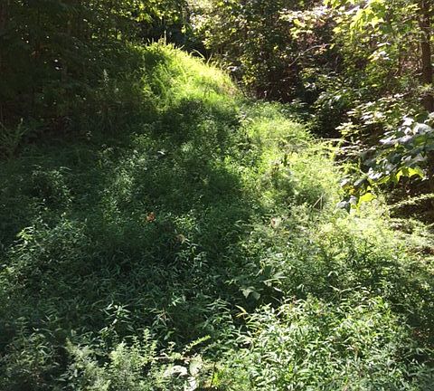 4th image of Jackson Hills Dr