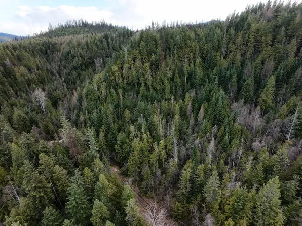 7301 State Highway 31, Ione, WA 99139